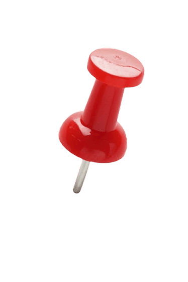 Pin